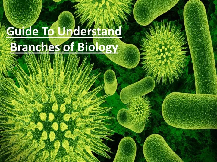 guide to understand branches of biology