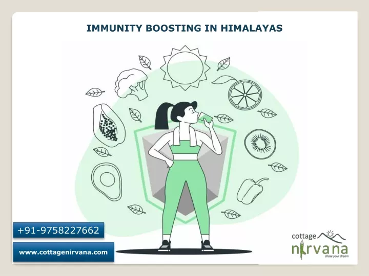 immunity boosting in himalayas