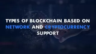 Types of blockchain based on Network and Cryptocurrency support