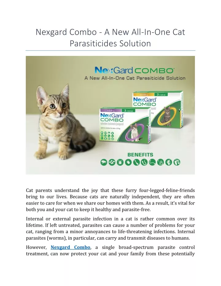 nexgard combo a new all in one cat parasiticides