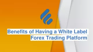 Benefits of Having a White Label Forex Trading Platform
