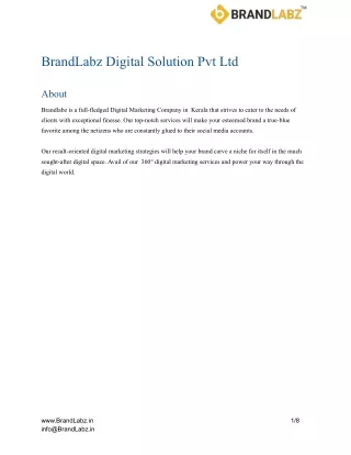 BrandLabz Digital Solution Pvt Ltd
