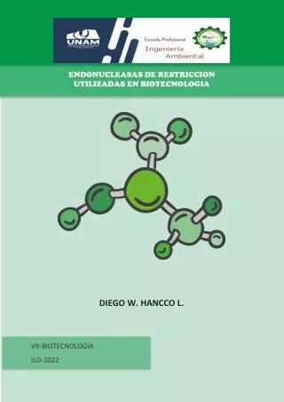 Endonucleasas de restriccion utilizadas en biotecnologia, Diego Hancco