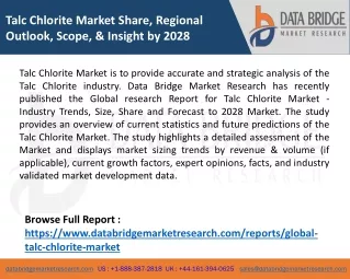 talc chlorite market share regional outlook scope