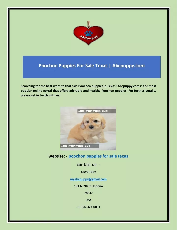 poochon puppies for sale texas abcpuppy com