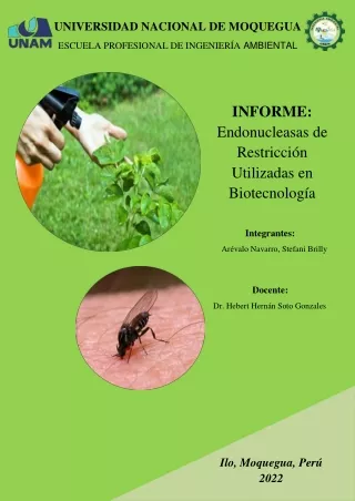 INFORME Endonucleasas de Restricción Utilizadas en Biotecnología STEFANI BRILLY AREVALO NAVARRO