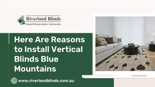 Here Are Reasons to Install Vertical Blinds Blue Mountains