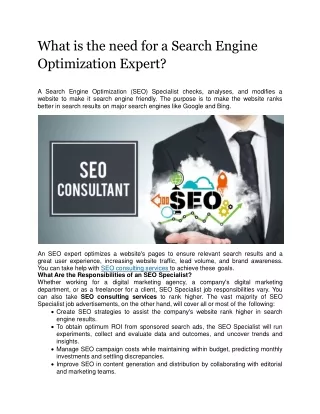 What is the need for a Search Engine Optimization Expert