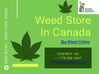 Weed store in Vancouver Canada | Buy Weed Online - Weed Bunny