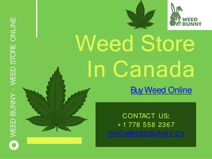 weed bunny weed store online