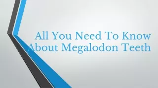 all you need to know about megalodon teeth