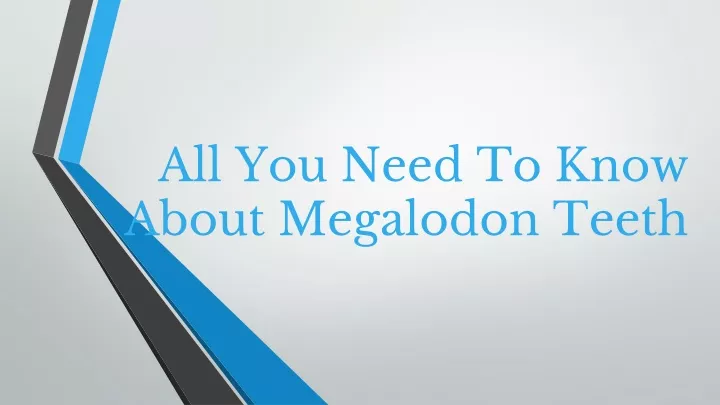 all you need to know about megalodon teeth