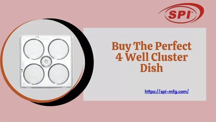 buy the perfect 4 well cluster dish