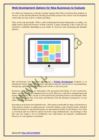 web development options for new businesses