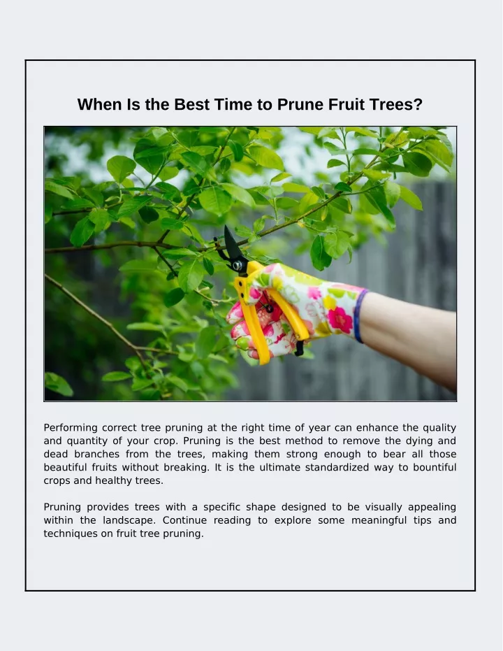 when is the best time to prune fruit trees