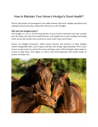 How to keep your horse's  Hindgut Happy and healthy_