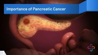 Importance of Pancreatic Cancer