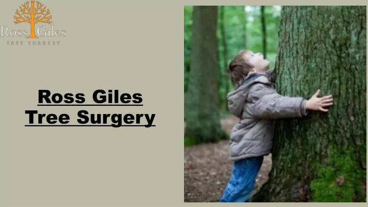 ross giles tree surgery
