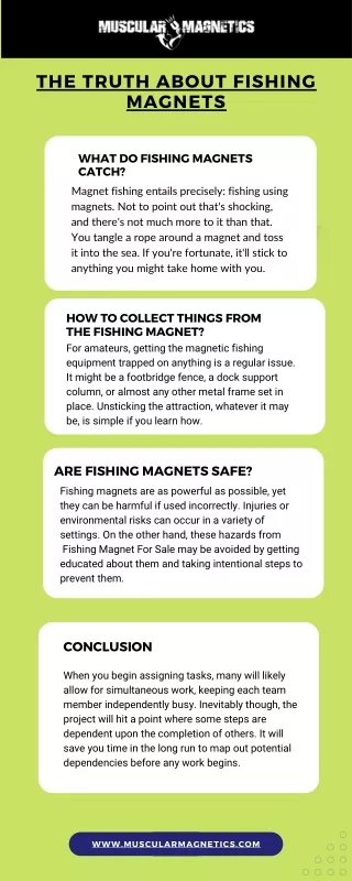 THE TRUTH ABOUT FISHING MAGNETS