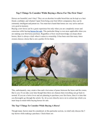Top 5 Things To Consider While Buying a Horse For The First Time