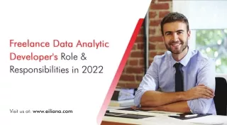 Freelance Data Analytic Developer's Role & Responsibilities in 2022
