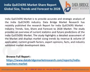 india quechers market share report global size