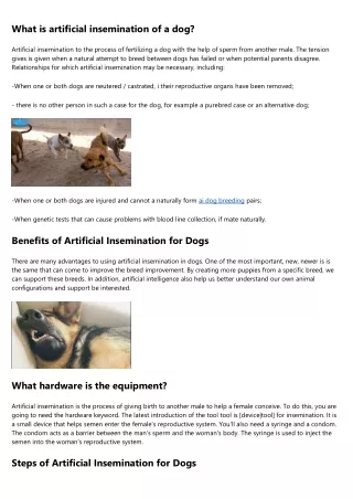 Dog Artificial Insemination