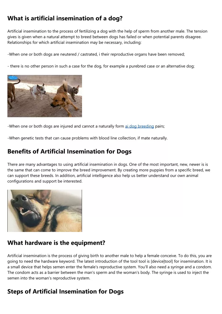 what is artificial insemination of a dog