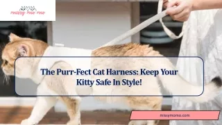 Cat Harnesses