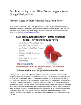 Best Internal Aquarium Filter Prevent Algae – Water Change Weekly Habit