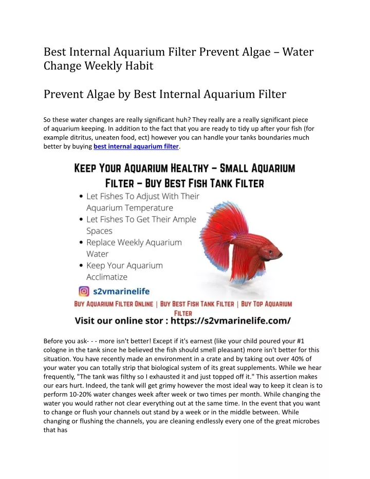 best internal aquarium filter prevent algae water