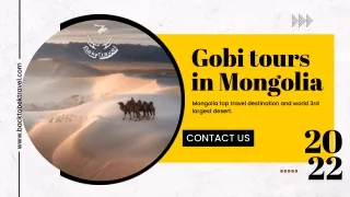 Adventure Gobi desert tour in mongolia