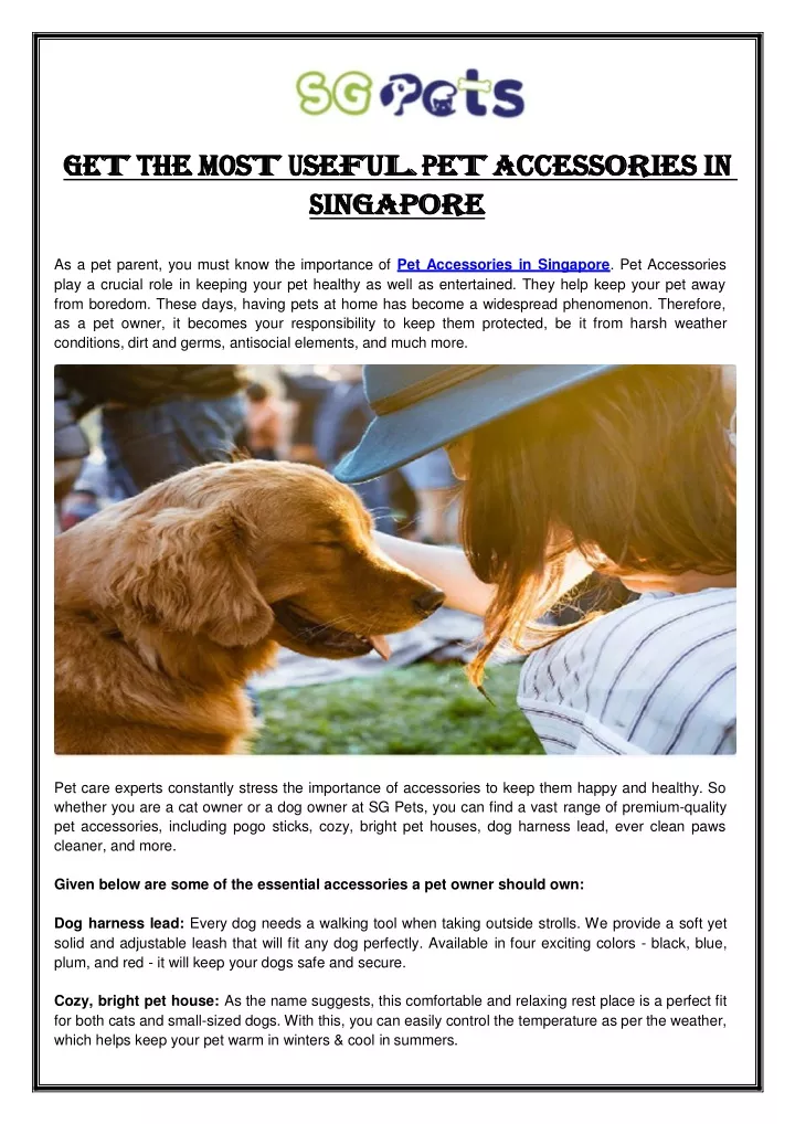 PPT Pet Accessories in Singapore PowerPoint Presentation, free