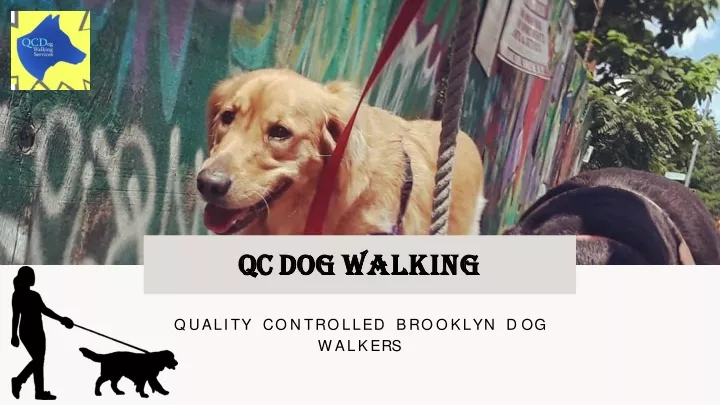 qc dog walking