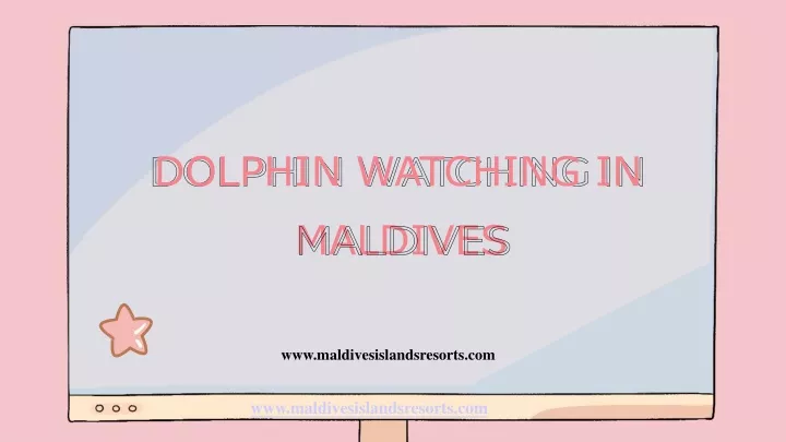 dolphin watching in