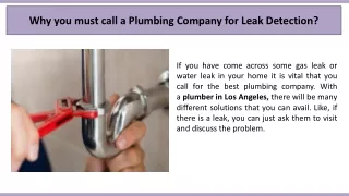 why you must call a plumbing company for leak