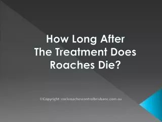 How Long After The Treatment Does Roaches Die?