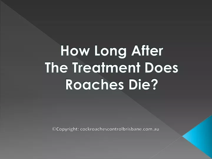 how long after the treatment does roaches die