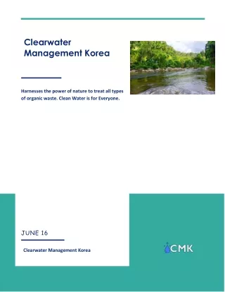 clearwater management korea