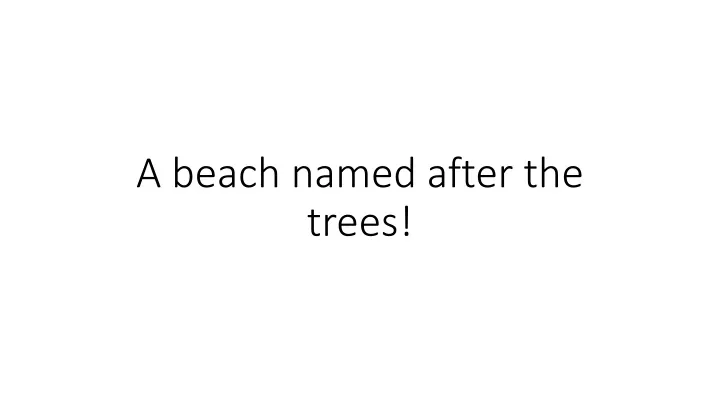 a beach named after the trees