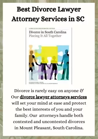 Best Divorce Lawyer Attorney Services in SC