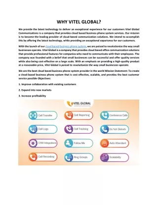 why vitel global