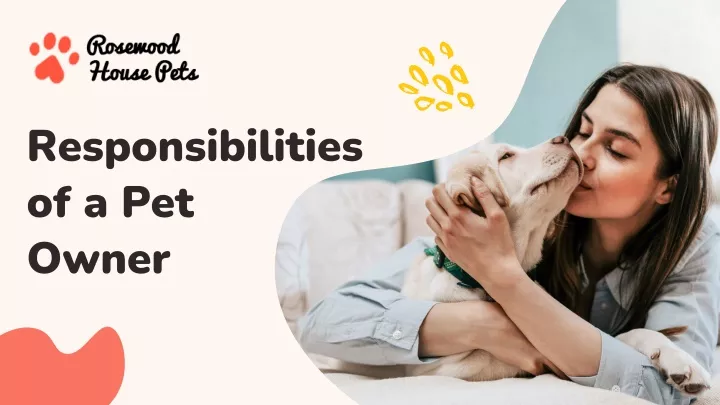 responsibilities of a pet owner