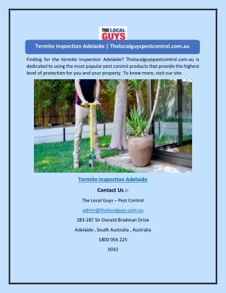 Termite Inspection Adelaide | Thelocalguyspestcontrol.com.au