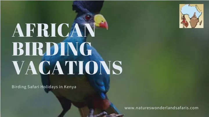 african birding vacations