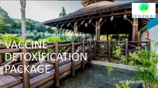 exclusive medical detox holiday package