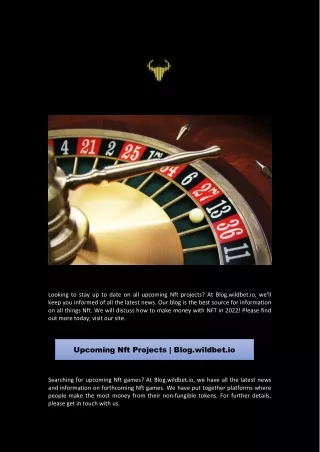 Upcoming Nft Projects | Blog.wildbet.io