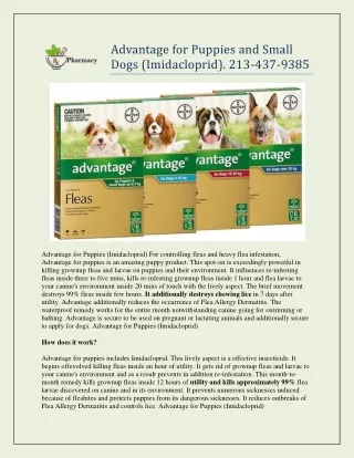 Advantage for Puppies and Small Dogs (Imidacloprid). 213-437-9385