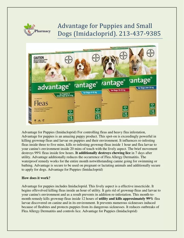 advantage for puppies and small dogs imidacloprid