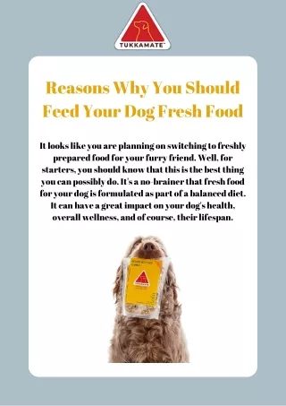 Healthiest Dog Food | Tukkamate